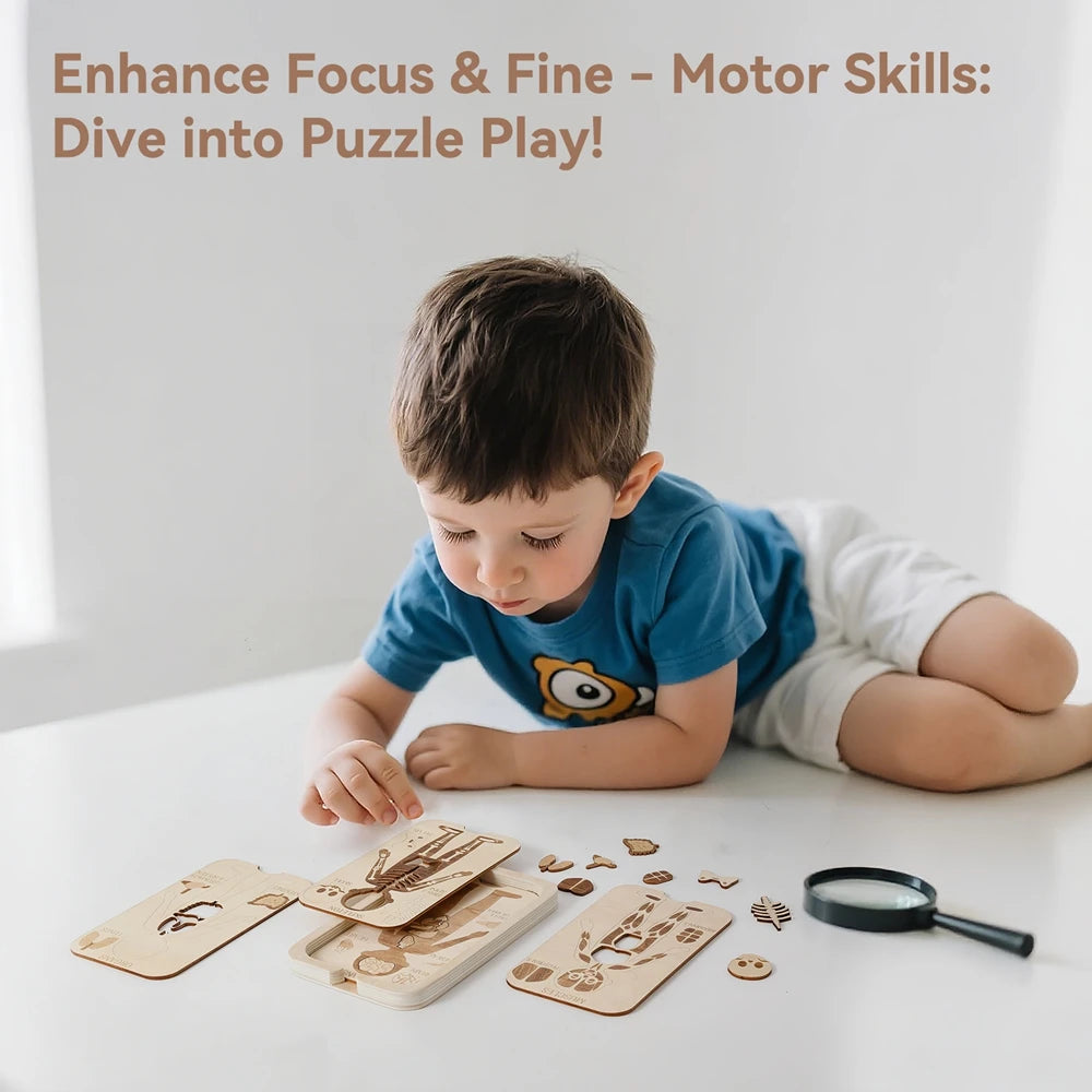 Montessori Jigsaw Puzzle Of Human Structure, Anatomy Organ Model Anatomy Toys ,Kids Human Learning Toy,Children Education Toys
